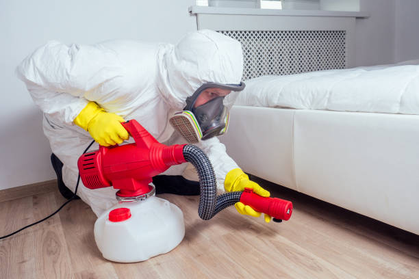 Best Commercial Pest Control Services  in Rock Port, MO