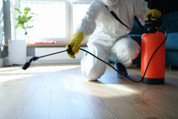Best Local Pest Control Services  in Rock Port, MO