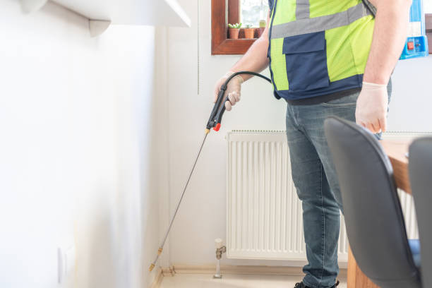 Best Wasp Removal Services  in Rock Port, MO
