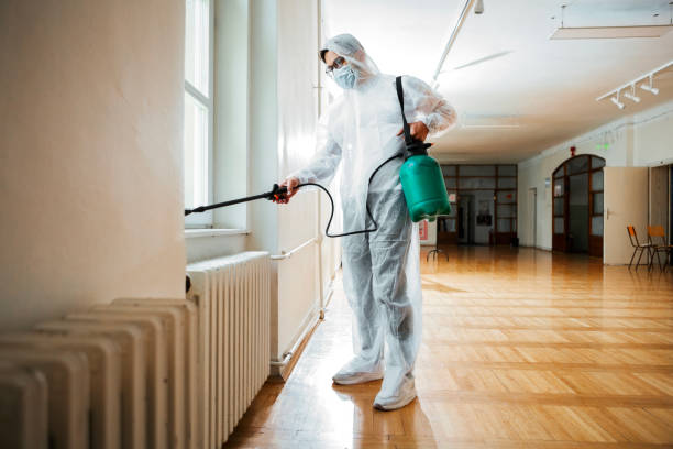 Best Exterminator Services  in Rock Port, MO